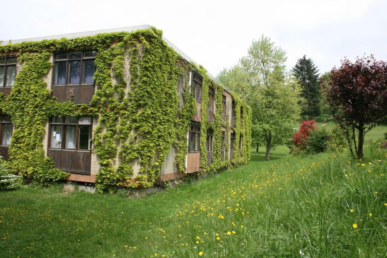 Parkblick Appartement - Entspannung Pur! Ober-Hambach ภายนอก รูปภาพ